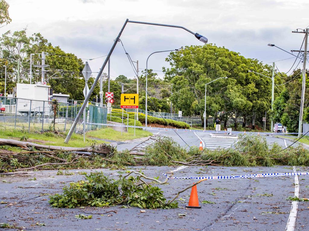 Fallen trees at Woodridge. Picture: Richard Walker