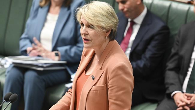 Environment Minister Tanya Plibersek. Picture: NewsWire / Martin Ollman