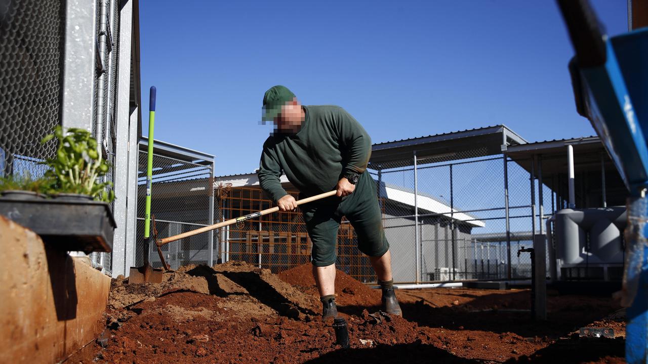 Inmates get to study horticulture and work in the vegetable garden. Picture: Sam Ruttyn