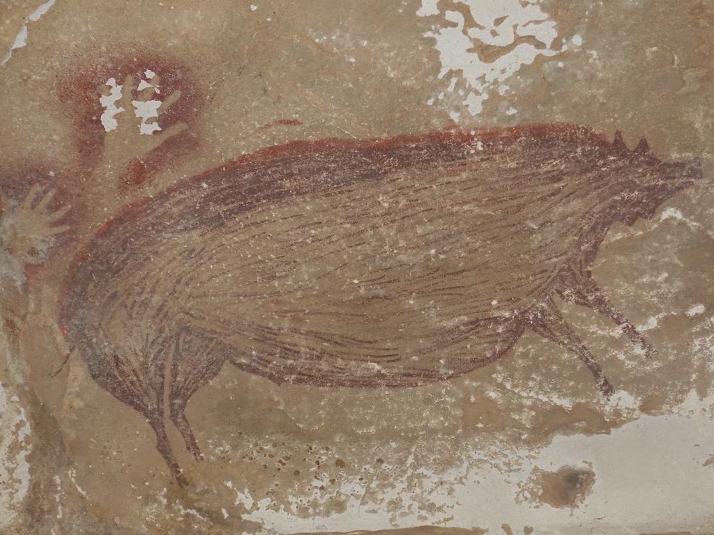 The wild pig painting discovered in Sulawesi. Picture: Maxime Aubert