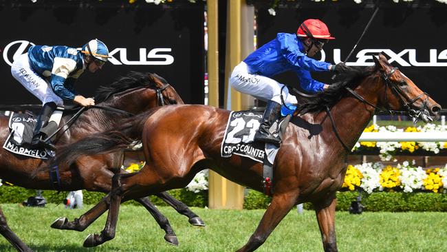 Cross Counter won the Melbourne Cup at only his eighth start. Picture: Getty Images