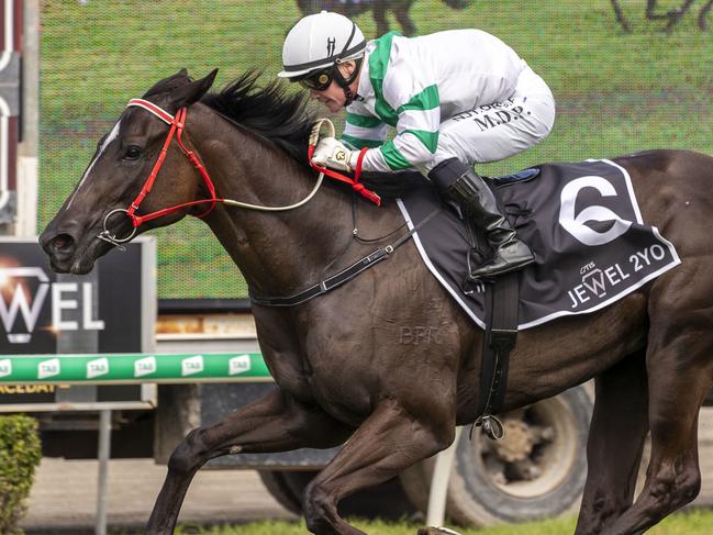 Mark Du Plessis rides Kisukano to victory in race 5, the AQUIS QTIS Jewel 2 Year-Old, during the QTIS Jewel Raceday at Aquis Park on the Gold Coast, Saturday, March 14, 2020. (AAP Image/Glenn Hunt) NO ARCHIVING, EDITORIAL USE ONLY