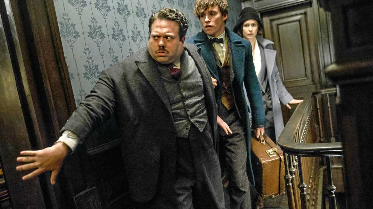 FOR REVIEW AND PREVIEW PURPOSES ONLY. Dan Fogler, Eddie Redmayne and Katherine Waterston in a scene from the movie Fantastic Beasts and Where To Find Them. Supplied by Warner Bros. Picture: Jaap Buitendijk