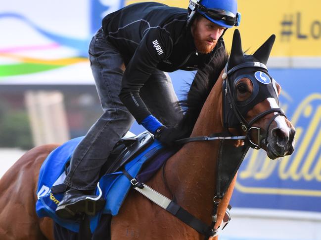 MELBOURNE, AUSTRALIA - OCTOBER 13: Richard Cronin riding Hartnell for the Godolphin stable during a trackwork session at Moonee Valley Racecourse on October 13, 2016 in Melbourne, Australia. (Photo by Vince Caligiuri/Getty Images)