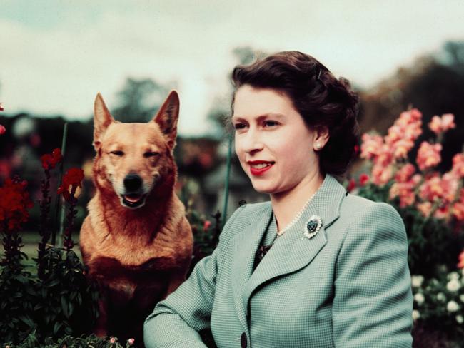 ‘Godsend’: How Queen’s corgi love affair started