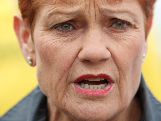 SATURDAY TELEGRAPH - Pictured outside a pre polling booth in Singleton today is One Nation Leader Pauline Hanson to support Local One Nation Candidate Dale McNamara for the Upper Hunter By Election. Picture: Tim Hunter.