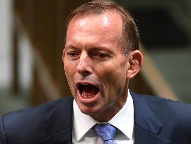 Former prime minister Tony Abbott. Picture: AAP