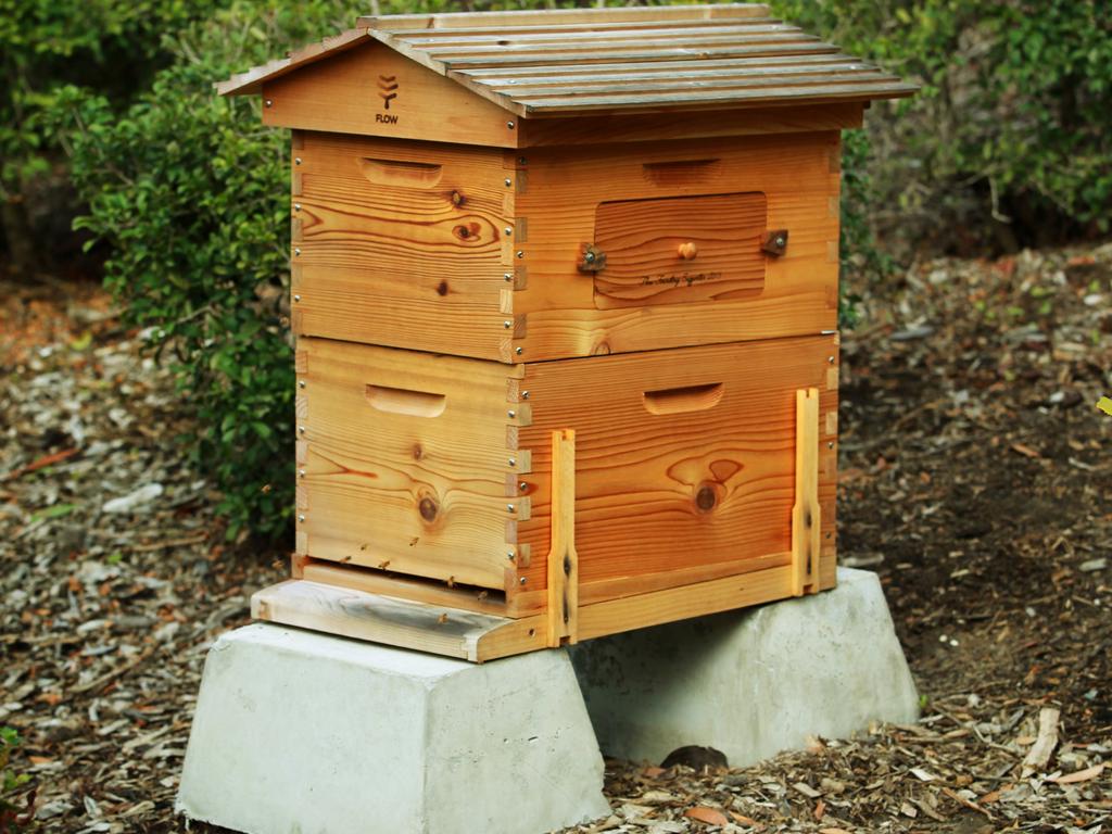 Beehives can be easily purchased online.