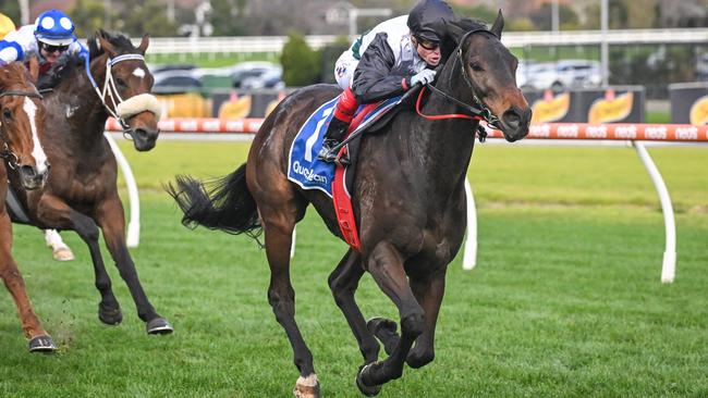 Mr Brightside will return to Group 1 company in Saturday’s $750,000 Memsie Stakes at Caulfield. Picture: Racing Photos via Getty Images.