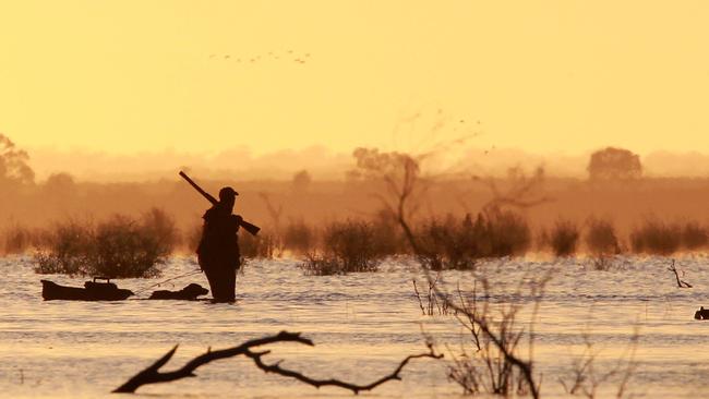 A hunter waits for ducks to arrive at a lake in Victoria in a previous shooting season.