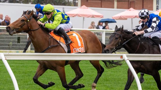 Thron Bone (now Invincible Sage) winning at Caulfield in July 2022.