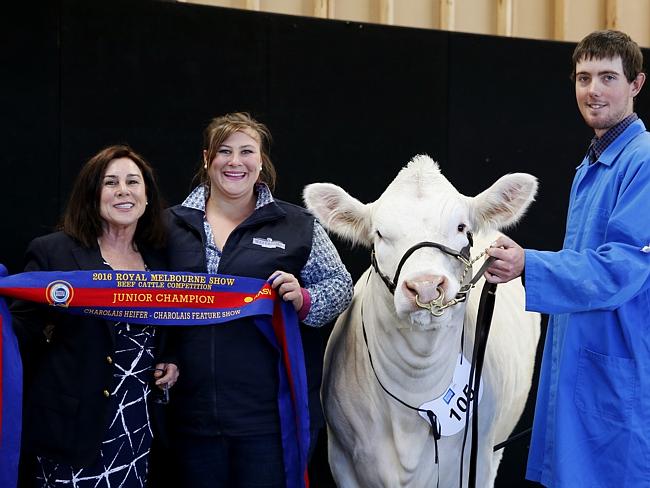 Royal Melbourne Show cattle judging | The Weekly Times