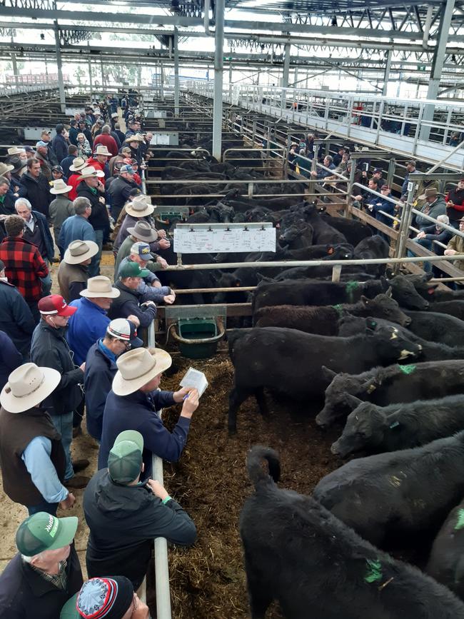 Some of the crowd at the Wangaratta cattle sale where 3000 were offered.