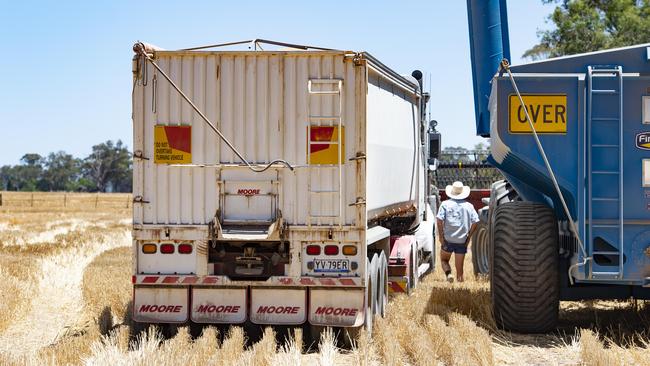 Going strong: Wheat is the standout performer this week as the price for most grades has rallied $12 a tonne. Picture: Zoe Phillips