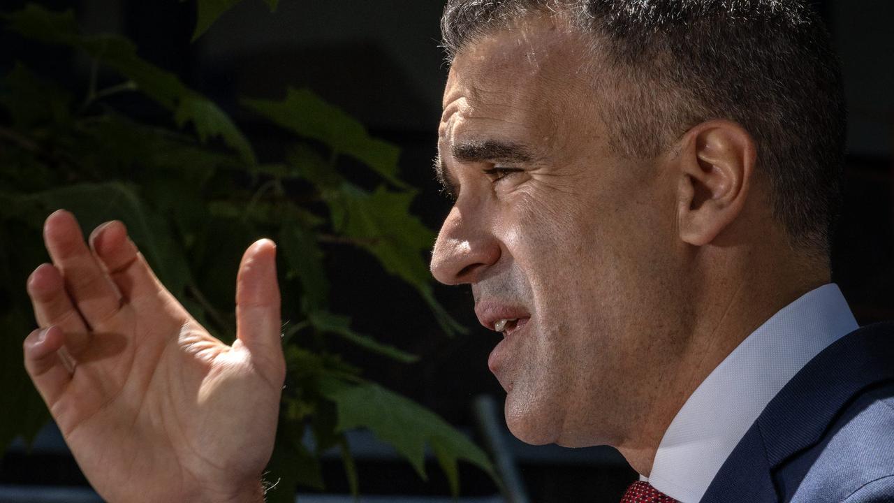 Premier Peter Malinauskas. Picture: NCA NewsWIRE/Emma Brasier