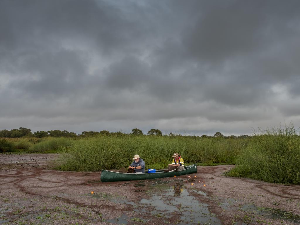 As part of a program to start a captive breeding program for the fish, members from North Catchment Management Authority, Austral research and consulting and volunteers from fishing groups set and checked traps. Picture: Doug Gimesy