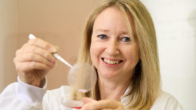 Professor of Regenerative Medicine, Allison Cowin at UniSA in Mawson Lakes, is developing a dressing that use stem cells to heal chronic wounds. Picture: Matt Loxton