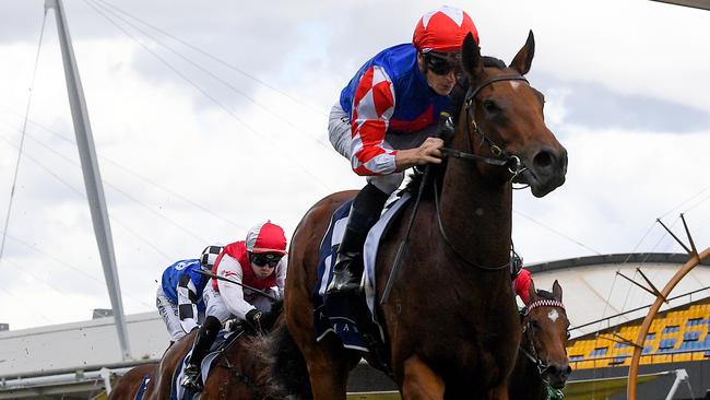 Macroura is well placed to score a first-up win at Rosehill Gardens. Picture: AAP