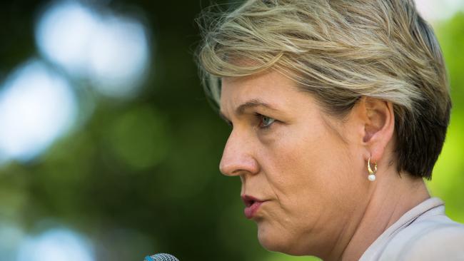 Deputy Opposition Leader Tanya Plibersek speaks to members of the community at Redfern Park in Sydney, Sunday, December 9, 2018. This year marks 26 years since Paul Keating, former Prime Minister of Australia delivered the historic Redfern Speech. (AAP Image/Paul Braven) NO ARCHIVING