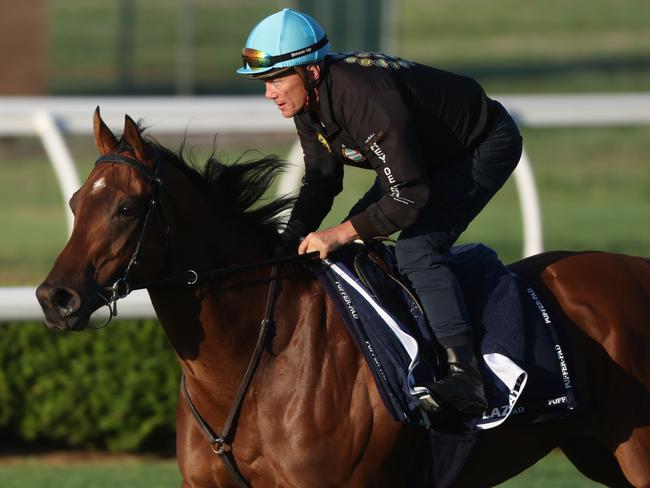 (PLEAE CHECK HORSE NAMES) Believed to be either French gun Lazzat or English star Lake Forest. (NEED TO CONFIRM CORRECT HORSE ID).  The Daily telegraph 23.10.2024 Golden Eagle runners, Track work at Canterbury Park.  Picture: Rohan Kelly