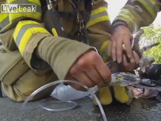 Firefighters help an injured kitten with oxygen in this tear-jerking clip.