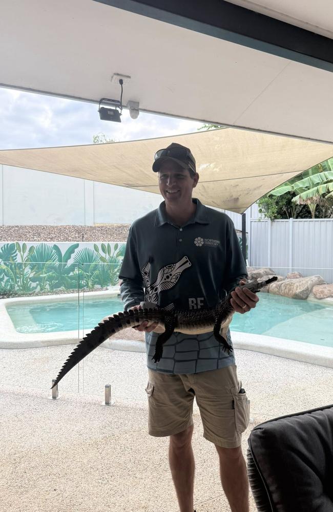 A second crocodile was found in a pool in Durack Heights on May 12. Picture: Facebook