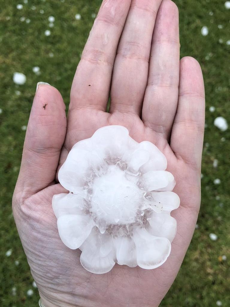 A massive hailstone like a flower in Western Sydney. Picture: Twitter