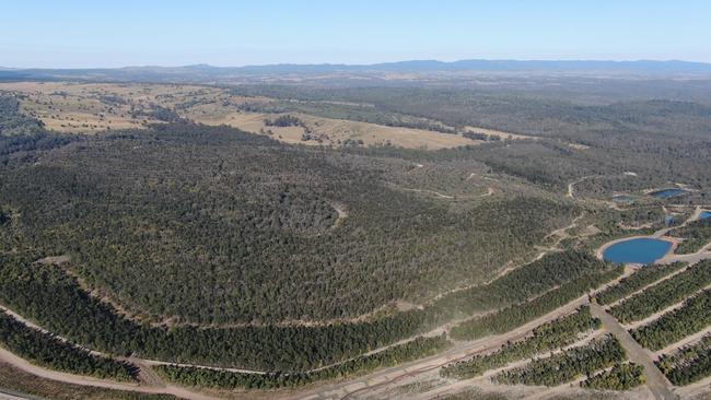 Stanwell has revealed future ex-mining land at Meandu could be used for grazing and plantation forestry. Photo/Stanwell