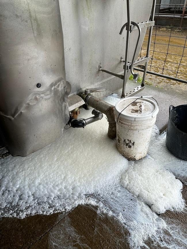 Thousands of litres of milk are dumped at Julie Moore's Dorrigo property in the aftermath of Ex- Tropical Cyclone Alfred. Picture: Supplied