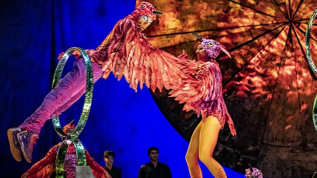 Cirque du Soleil Luzia. Picture: Anne Colliard