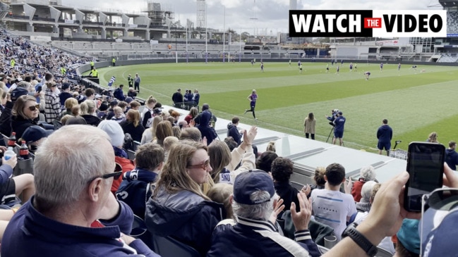 Cats fans cheer at open training session