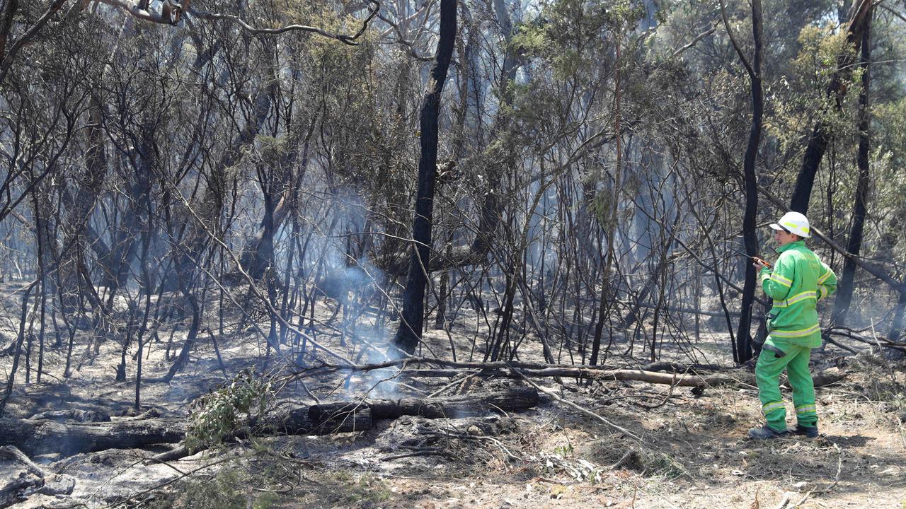 Forest Fire Management Victoria monitor the fireground at the Otways. Picture: Mark Wilson