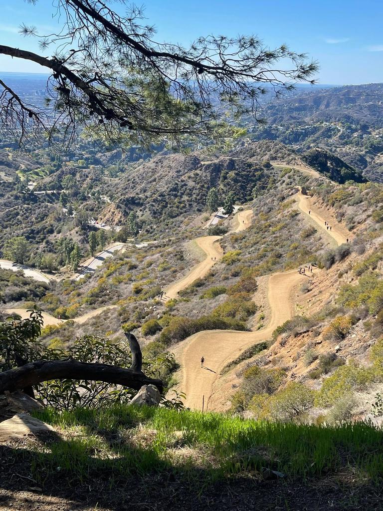 The view from the hike to the Hollywood Sign. Picture: Natalie Brown/news.com.au