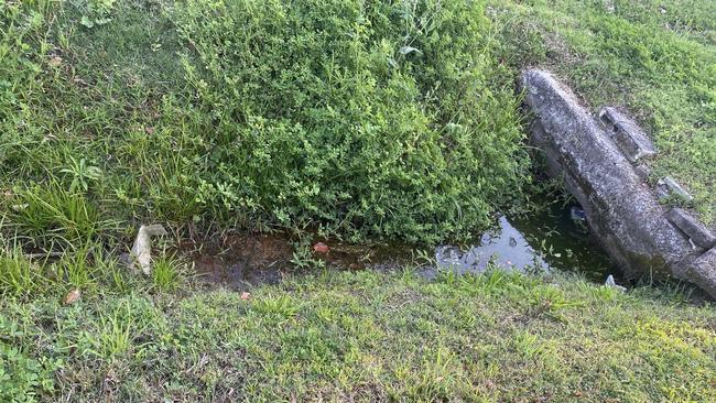 A blocked Lismore storm water drain. Picture: LDCAG.