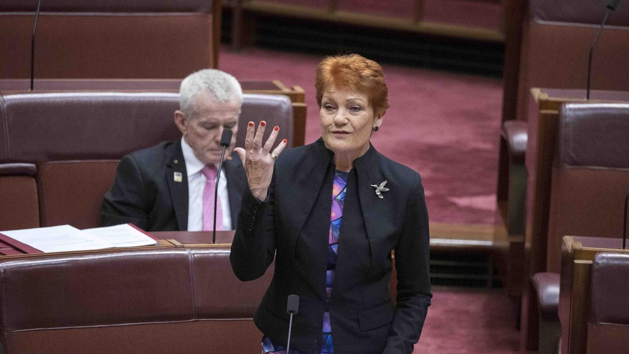 Pauline Hanson made an inflammatory speech in the Senate. Picture: NCA NewsWire / Gary Ramage