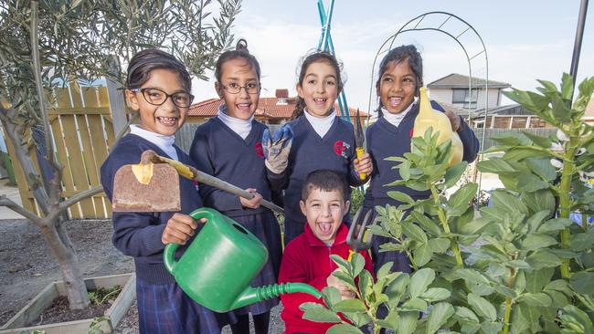 Annika, India, Olivia, Nellie and Tomas at the School of The Good Shepherd in Gladstone Park, which received a grant for its school garden. Picture: Rob Leeson.