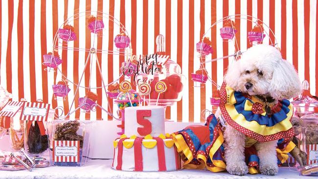 Coco at her birthday party. Picture: Nic Walker