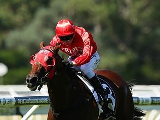 Pics from Warwick Farm races