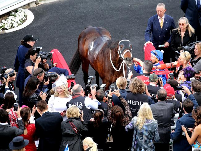 Pictured is Champion mare Winx, ridden by jockey Hugh Bowman, after her 20th straight race win at Royal Randwick Racecourse today. Picture: Tim Hunter.