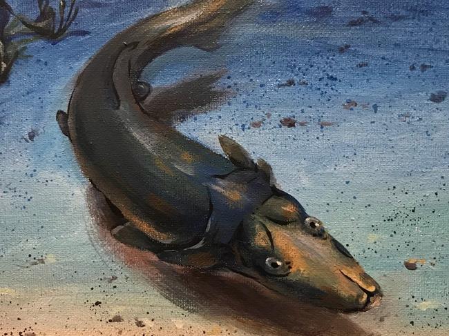 A platypus like fish has been discovered