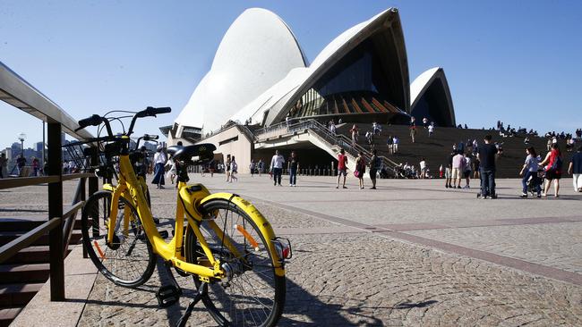 Prof Bliemer said the bike hire schemes had been a disastrous . However, he said there was great potential if the scheme was done properly. Picture: John Appleyard