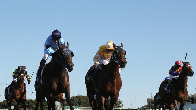 Both Ray &amp; Duff are backing Edison in Race 5 at Rosehill. Picture: Getty Images.