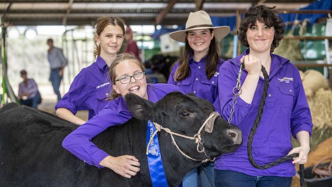 (from left) Kiralee Mulvena, Ella Williams, Jennifer Richter and Jamilia Saad. The Show team from Centenary Heights State High School ag program. Pictured with Ferdinand the Angus Lowline Steer, winner of Junior Led Steer. Toowoomba Royal Show. Thursday, March 30, 2023. Picture: Nev Madsen.