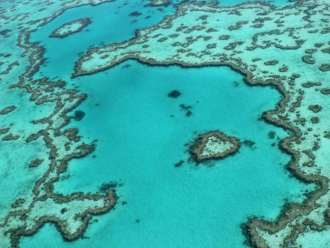 The iconic heart reef is a magnet for tourists and the region is worth an estimated $700 million each year.