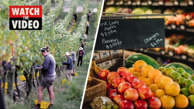 Why fruit and vegie prices are set to soar in Australia