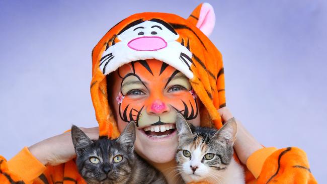 Lottie, 12, preps for the CATwalk Fashion Purrade with kittens Anya and Poppy. Picture: David Caird