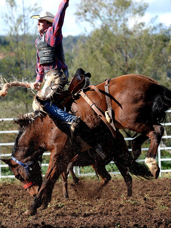 A cowboy rides high in the saddle