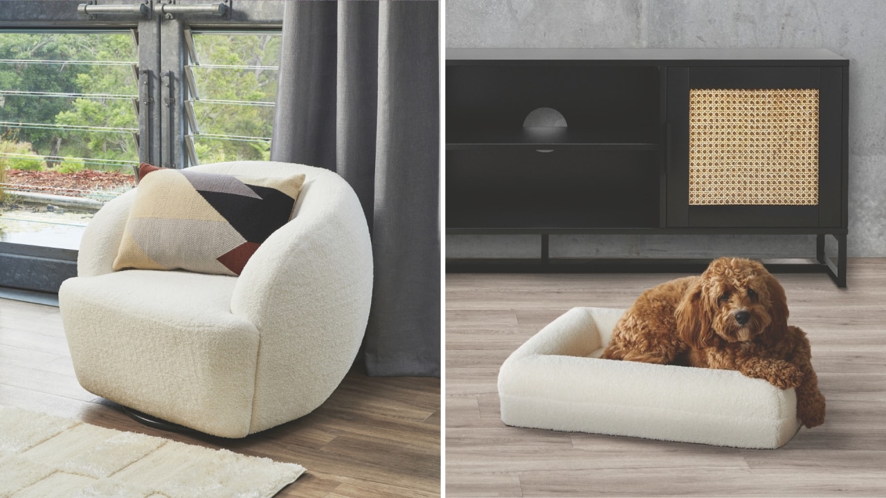 Aldi discount animal chair