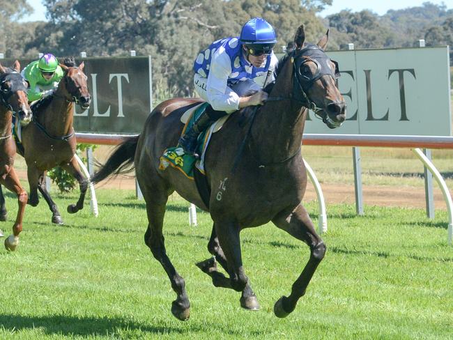 Excelleration could continue his rapid improvement to earn a Melbourne Cup start via Saturday's Andrew Ramsden at Flemington. Picture: Racing Photos via Getty Images.