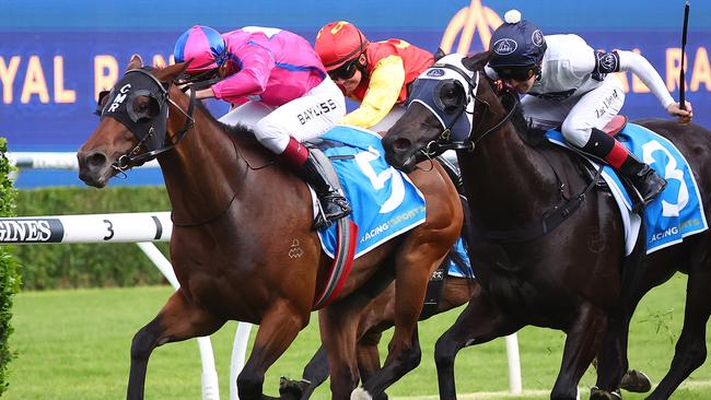 Consistent performer Recommendation is a top tip in the Group 2 Australia Stakes at The Valley on Saturday. Picture: Jeremy Ng/Getty Images